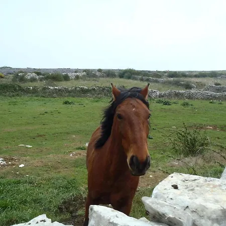 A Casa Da Serra - Local Pensjonat